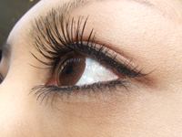 eyelashimg-001